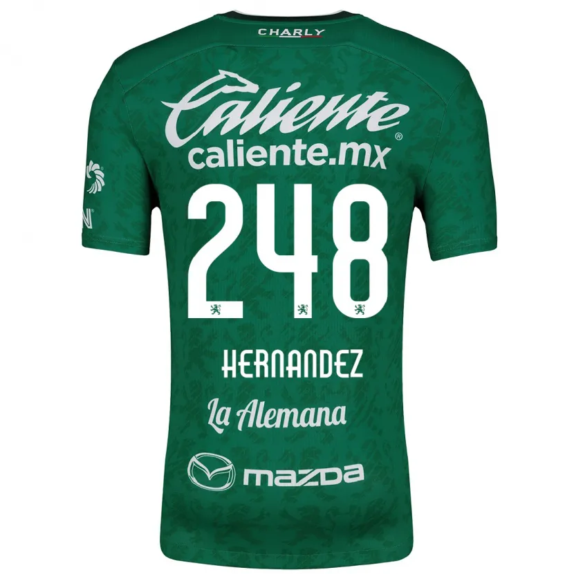 Danxen Enfant Maillot Fernando Hernández #248 Vert Blanc Tenues Domicile 2024/25 T-Shirt