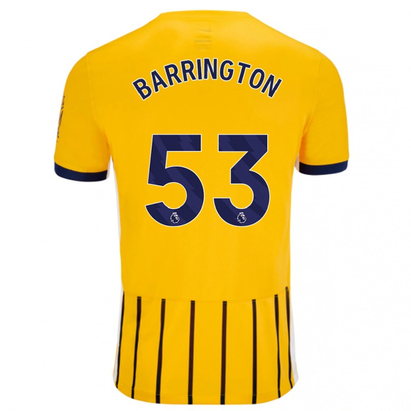 Danxen Enfant Maillot Luca Barrington #53 Doré Bleu À Fines Rayures Tenues Extérieur 2024/25 T-Shirt