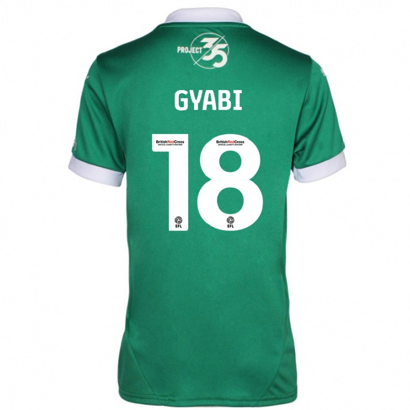 Danxen Enfant Maillot Darko Gyabi #18 Vert Blanc Tenues Domicile 2024/25 T-Shirt