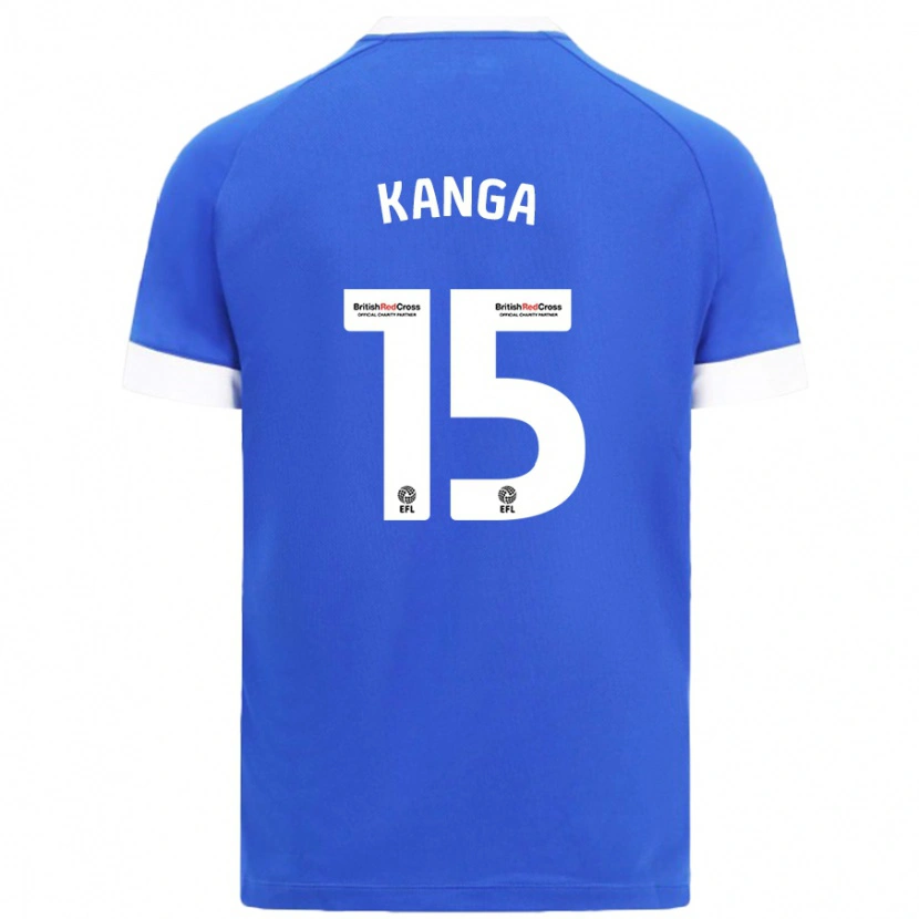 Danxen Enfant Maillot Wilfried Kanga #15 Bleu Ciel Tenues Domicile 2024/25 T-Shirt