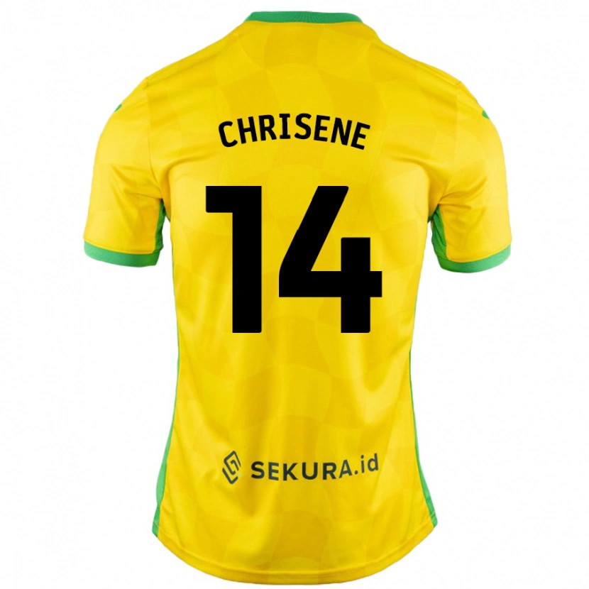 Danxen Enfant Maillot Ben Chrisene #14 Jaune Vert Tenues Domicile 2024/25 T-Shirt