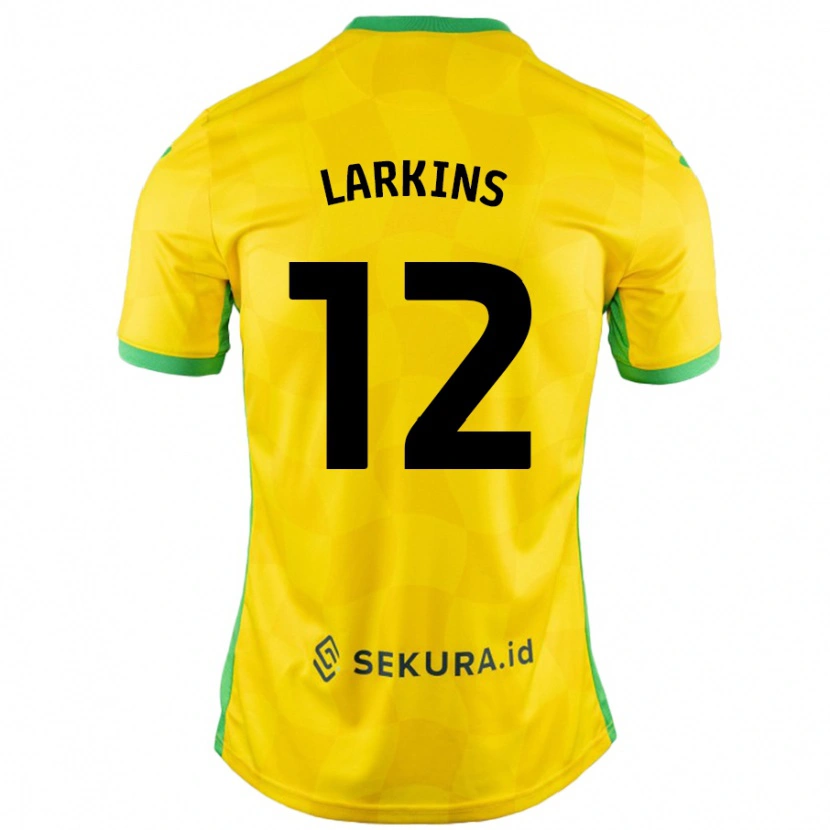 Danxen Femme Maillot Anna Larkins #12 Jaune Vert Tenues Domicile 2024/25 T-Shirt